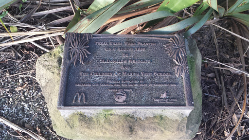 West Harbour, Trees For Kids And Plaque - Marina View School 