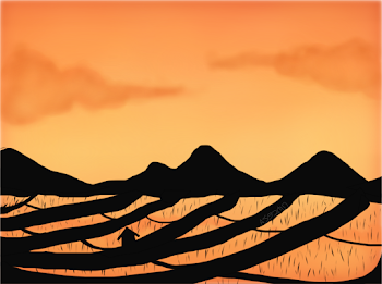 Terrace Paddy Field