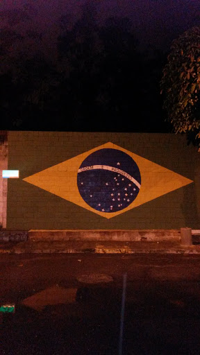 Bandeira Do Brasil No Muro
