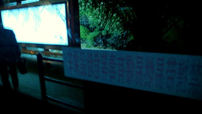 http://lh3.ggpht.com/DigitaLuxury/SCxadMMqbII/AAAAAAAAAZo/r4fFTi6BkYA/s400/L1000243.JPG