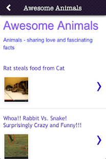 How to download Awesome Animals 1.400 apk for pc