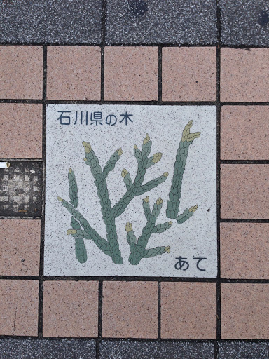 石川県の木