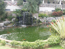 MIMG Fountain and Pond