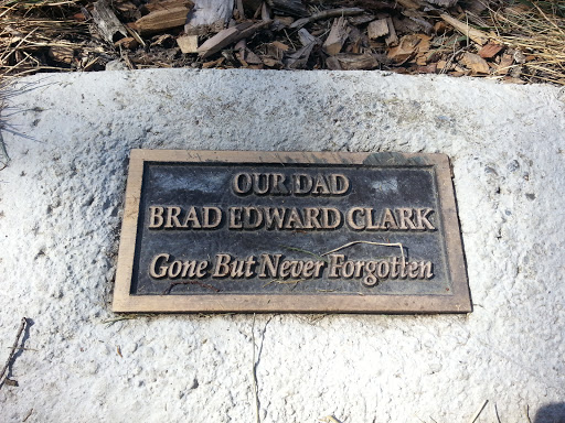 Brad Clark Memorial Tree