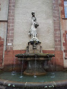 La Fontaine De Jouvence
