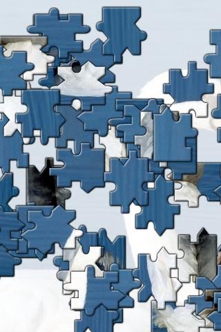 Eagle Jigsaw Puzzle