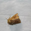 White-point