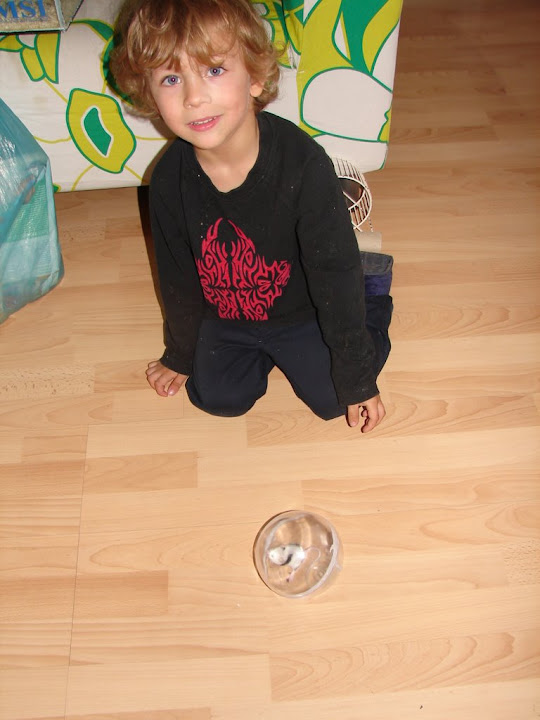 http://lh3.ggpht.com/DominikaZK/SOHSsFw1BvI/AAAAAAAAEEo/mCZFCdRbUcc/s720/DSC00040.JPG