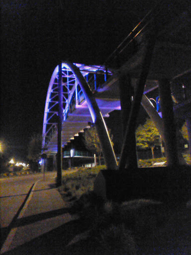Cole Harmony Bridge 