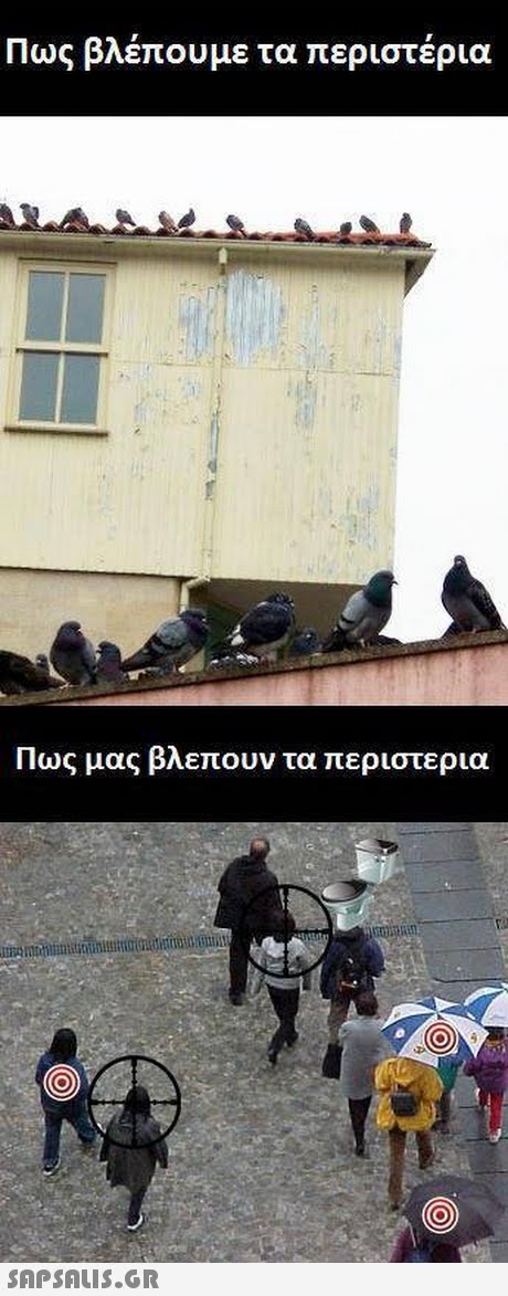 Πως βλέπουμε τα περιστέρια Πως μας βλεπουν τα περιστερια SAP SALis.or