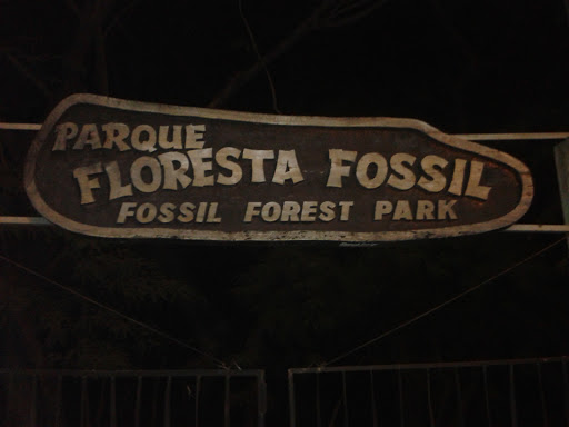 Parque Floresta Fóssil
