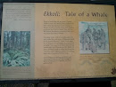Ekkoli- Tale of A Whale 