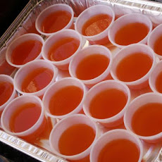 Fuzzy Navel Jello Shots