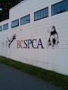BCSPCA Mural