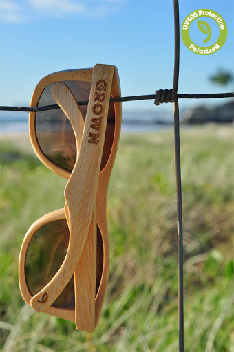 Madera Bamboo grown 2
