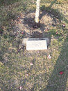 Memorial Tree Owen 