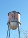 Badgers Water Tower