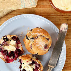 Blueberry Muffins
