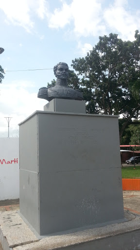 Busto Del General Manuel Manrique