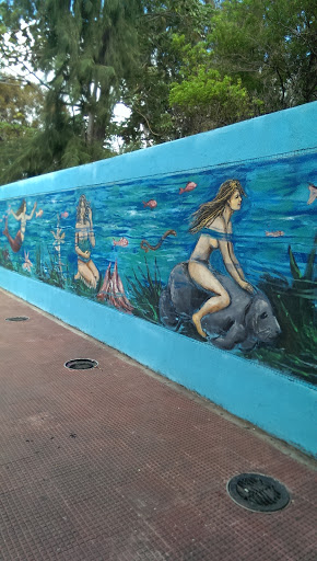 Mural Sirenas Acuario