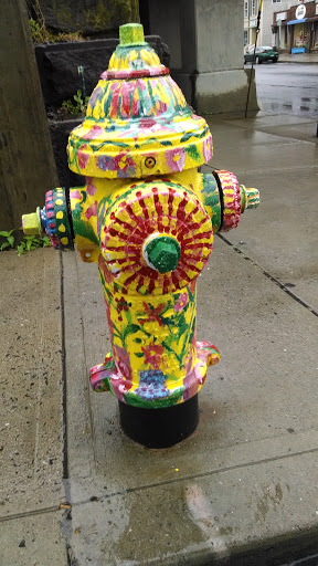 Adopt a Hydrant - River Street Flowers