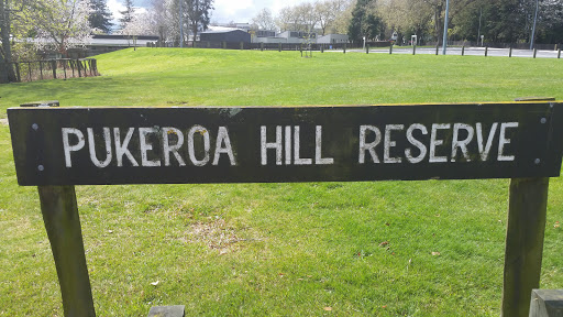 Pukeroa Hill Reserve 
