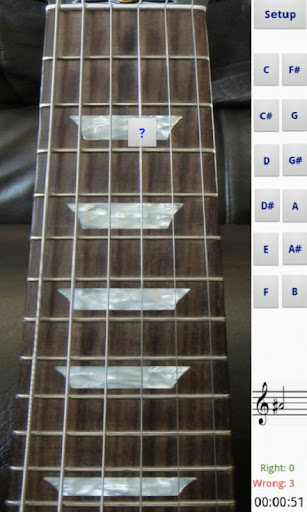 Electric Guitar Fretboard