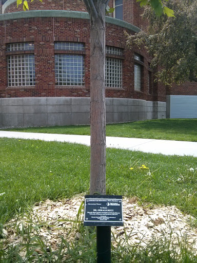 Dr. Gerald Doty Memorial Tree