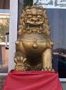 Chinese Lion Statue 