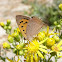 Common Copper