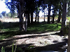 Vendo Terrenos De 300 Mt2 En Exelente Zona
