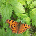 Comma