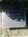 In Memory of Daniel J. Belardinelli