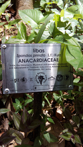 Libas Anacardiaceae Marker