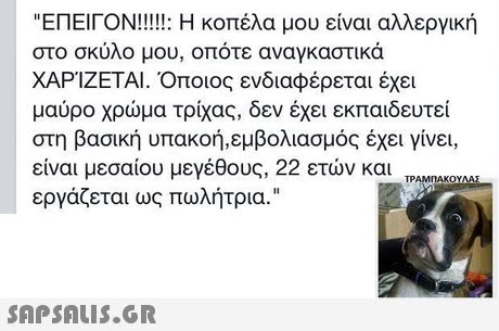 ΕΠΕΙΓΟΝ!!!!!: Η κοπέλα μου είναι αλλεργική στο σκύλο μου, οπότε αναγκαστικά ΧΑΡΙΖΕΤΑΙ. Όποιος ενδιαφέρεται έχει μαύρο χρώμα τρίχας, δεν έχει εκπαιδευτεί στη βασική υπακοή,εμβολιασμός έχει γίνει, είναι μεσαίου μεγέθους, 22 ετών και εργάζεται ως πωλήτρια. 