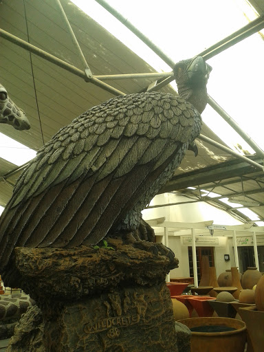 Vulture Statue, Lifestyle 