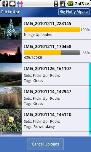 Flickr Upr