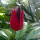Plants in Parks of Germany