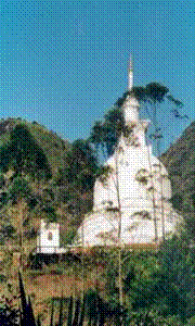 [2[3].gif]