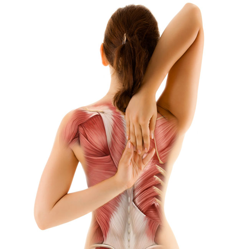 Upper Back Pain Neck Shoulders 健康 App LOGO-APP開箱王