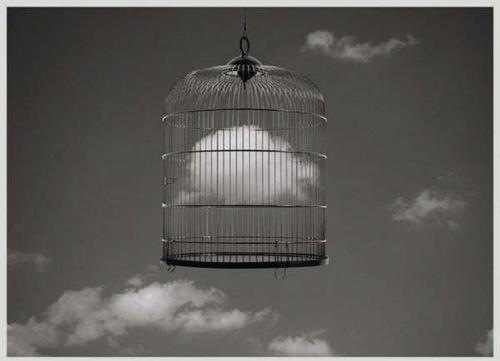 [Cloud inside a cage[2].jpg]