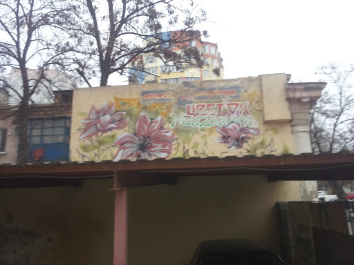 Graffiti Цветок Молдаванки
