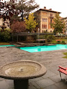 Villa Saroli Pool Fountain 