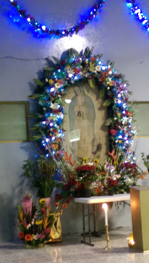 Virgen De Guadalupe En Terminal Toluca 