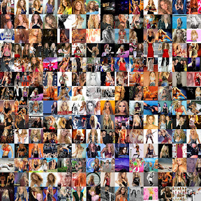 collage.jpg