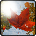 Falling Leaves Live Wallpaper mobile app icon