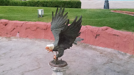 Swooping Eagle Statue 