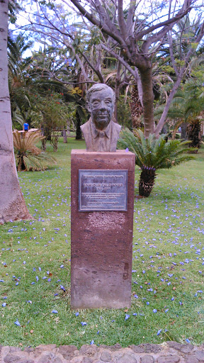 Busto Enrique Talg Wyss