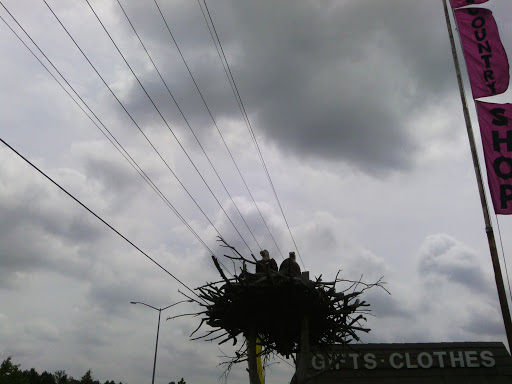 Eagle Nest Statue