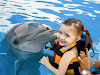 Nada Con Delfines En Six Flags Mexico